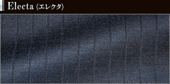 Electa(エレクタ)