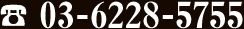 電話番号03-6228-5755